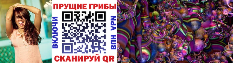 Купить  Михайловск  Псилоцибиновые грибы GOLDEN TEACHER 