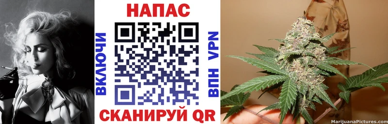 Конопля AK-47  Купить закладки  Михайловск 